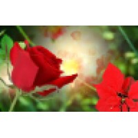 Lake Highlands Flowers Logo