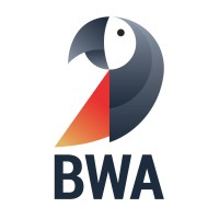 BrandWise Advice Logo