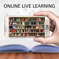 Online Live Learning Logo