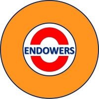 Endowers Solutions Pvt. Ltd. Logo