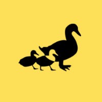 Follow Agency Logo
