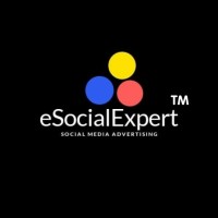 eSocialExpert®️ Logo