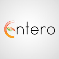 Entero Software Solutions Pvt.Ltd Logo