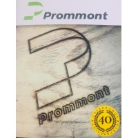 PROMMONT Logo