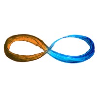 Passie in Actie Logo