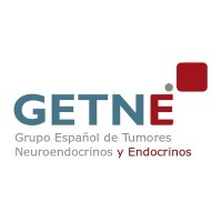 Grupo Getne Logo
