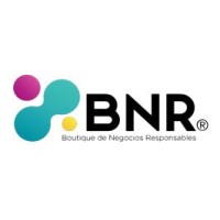 BNR Boutique de Negocios Responsables Logo