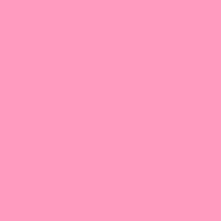 Solid Pink Productions Logo