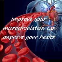 Independent BEMER Distributor Logo