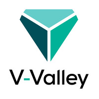 V-Valley Portugal - enhancing your business Logo