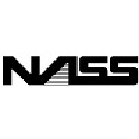 New Age Security Systems Logo
