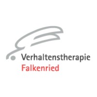 VT Falkenried Kliniken GmbH Logo