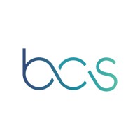 Bing Consulting Services, Inc. Logo