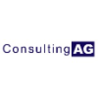Consulting AG Logo