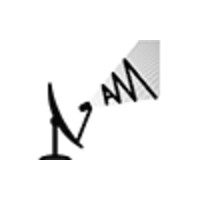 Audit Masters Logo