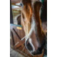 M&M Equestrian Center Logo