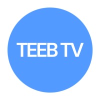 Teeb TV Logo