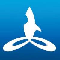 The Meeting Pool Logo