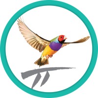 Best Practice Software Logo
