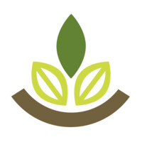 Brighton Energy Logo