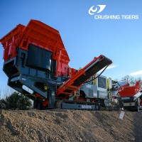Crushing Tigers Logo