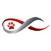 DVM Focus Logo