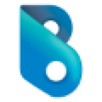 Borealis Consulting Logo