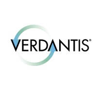 VerdantIS ~ Intelligent Solutions for Business Logo