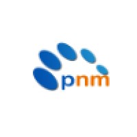 PNM Advisors Logo