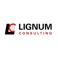 Lignum Consulting Inc Logo