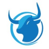 Stampede Digital Systems Logo