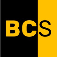 Ben Consulting Services Logo