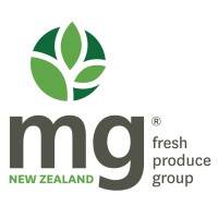MG Group Logo