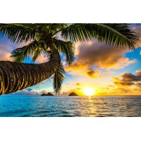 Aloha Estate Jewelry Logo