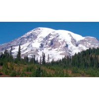 Rainier Investigative Group | RIGroup LLC Logo