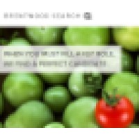 Brentwood Search Logo