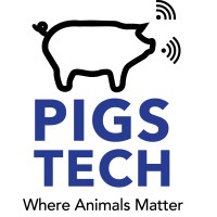 Pigstech Logo