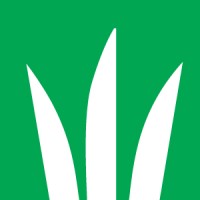 DLF North America Logo