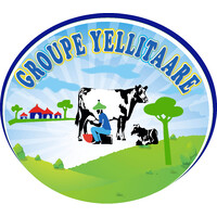 Groupe.Yellitaare Logo