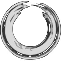 Visual Behavior Logo