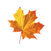 The Change Manager Logo