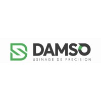 DAMSO SAS Logo