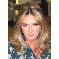 Viviane Dinamarco - Design de Interiores Logo