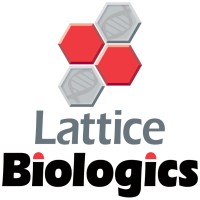 Lattice Biologics Ltd. Logo