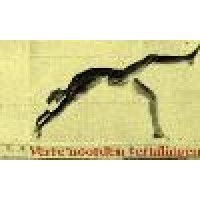 Verre noorden vertalingen Logo