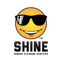 Make It Shine, LLC Logo