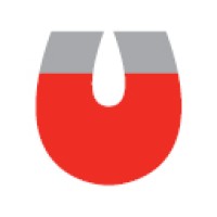 Dowling Magnets Logo