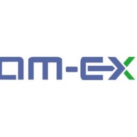 AM-EX Insurance Brokers (India) Pvt Ltd Logo