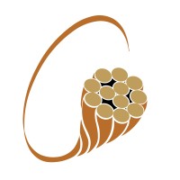 Town & Country Group Logo