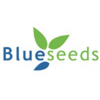 Blueseeds do Brasil Logo